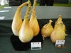 giantveg